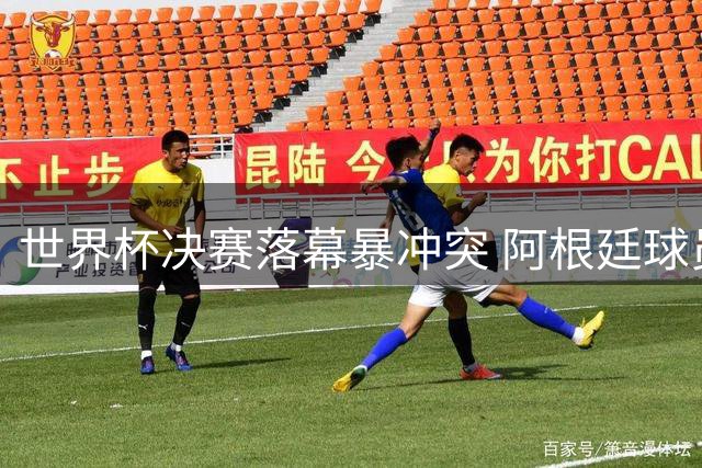 世界杯决赛落幕暴冲突 阿根廷球员帕雷德斯赛后领红牌