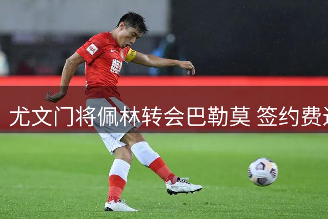 尤文门将佩林转会巴勒莫 签约费近50万欧元